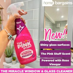 Pink Stuff- Klaasipesuvahend roosiäädikaga- 750 ml