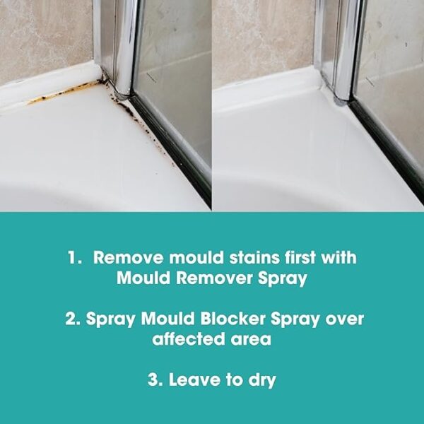 mould-blocker-shower
