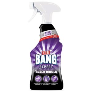 mold-hallituse-eemaldus-cillit